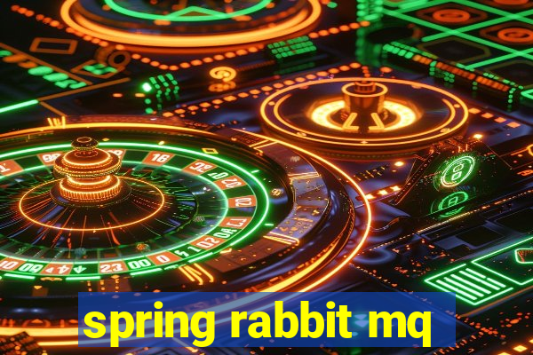 spring rabbit mq